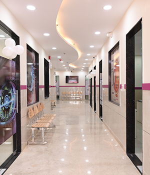 Gallery 5